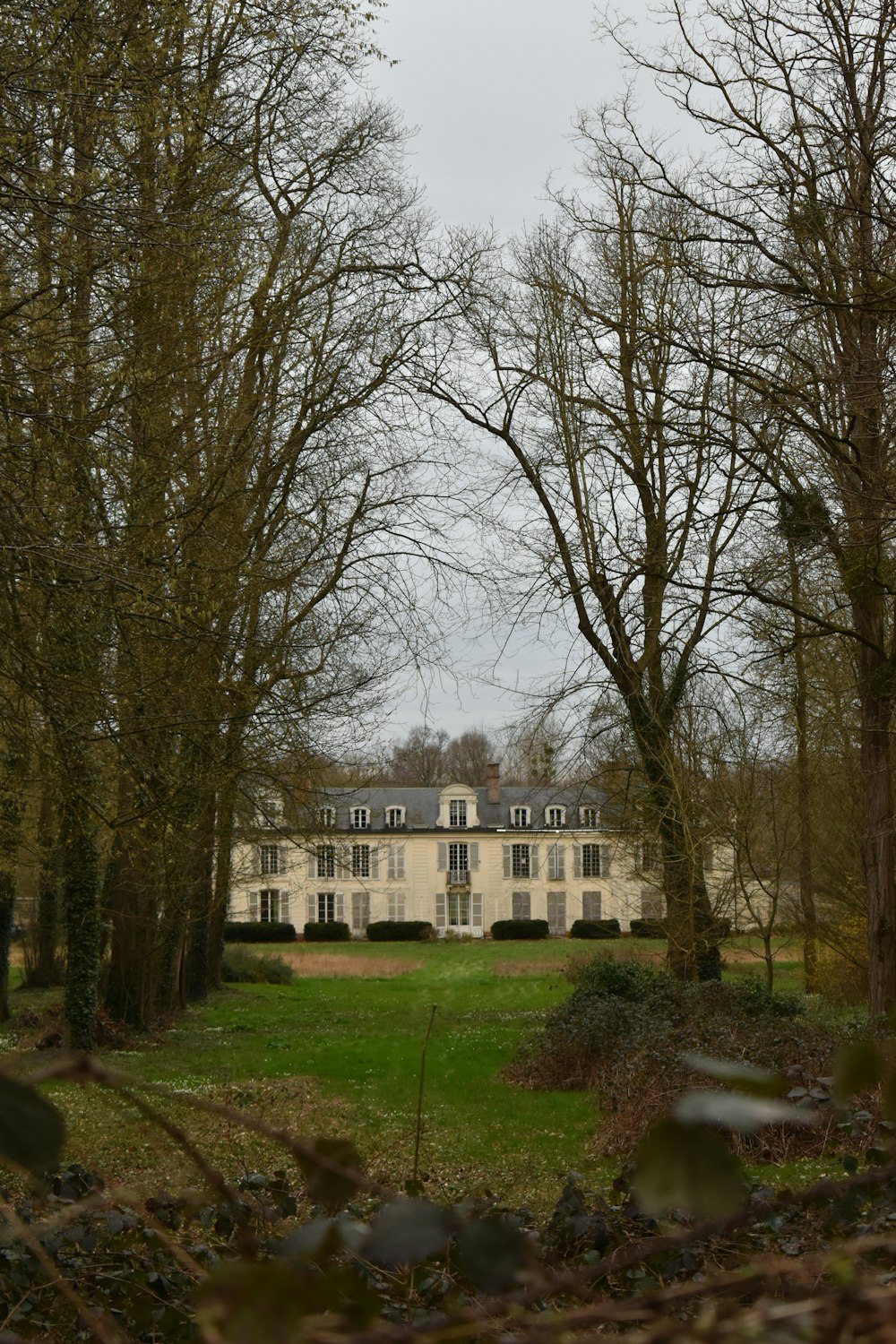 white concrete building near bare trees during daytime