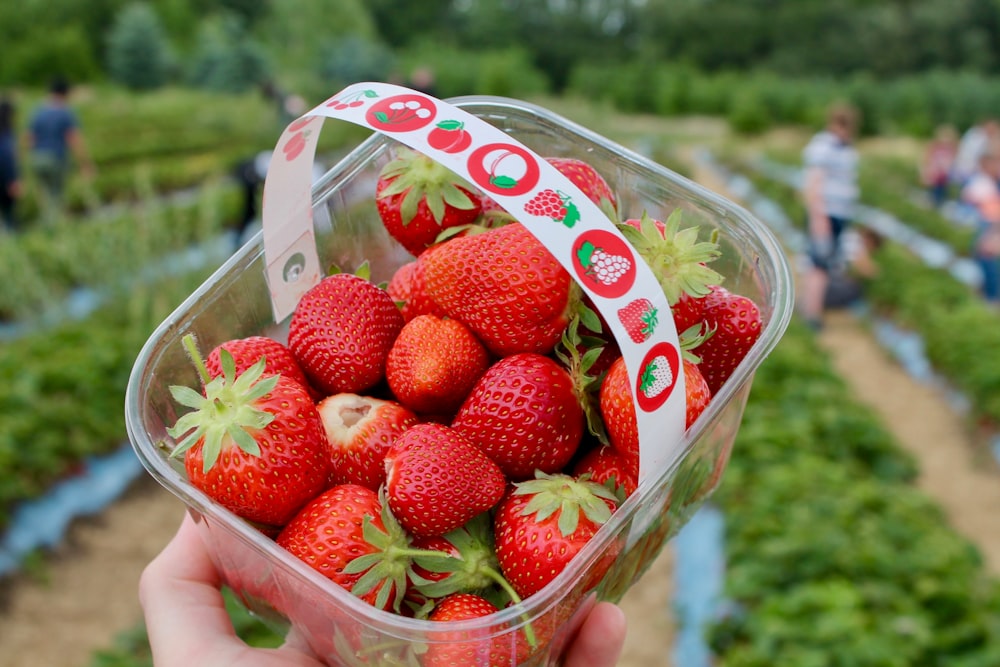 fresas en un recipiente de vidrio transparente