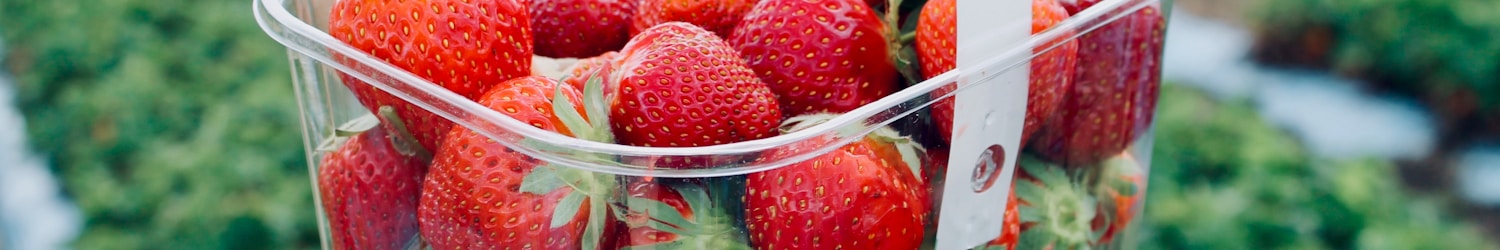 strawberries in white plastic basket