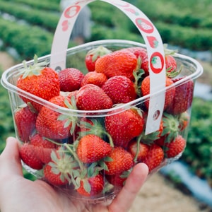 strawberries in white plastic basket