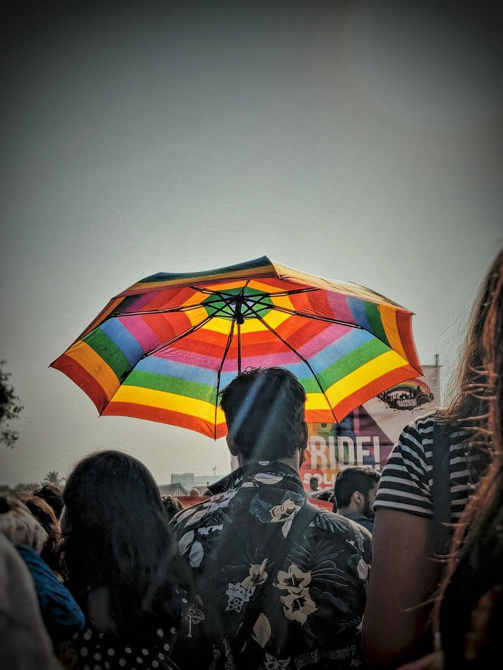 people walking on street with umbrella during daytime