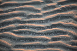 brown sand with water during daytime