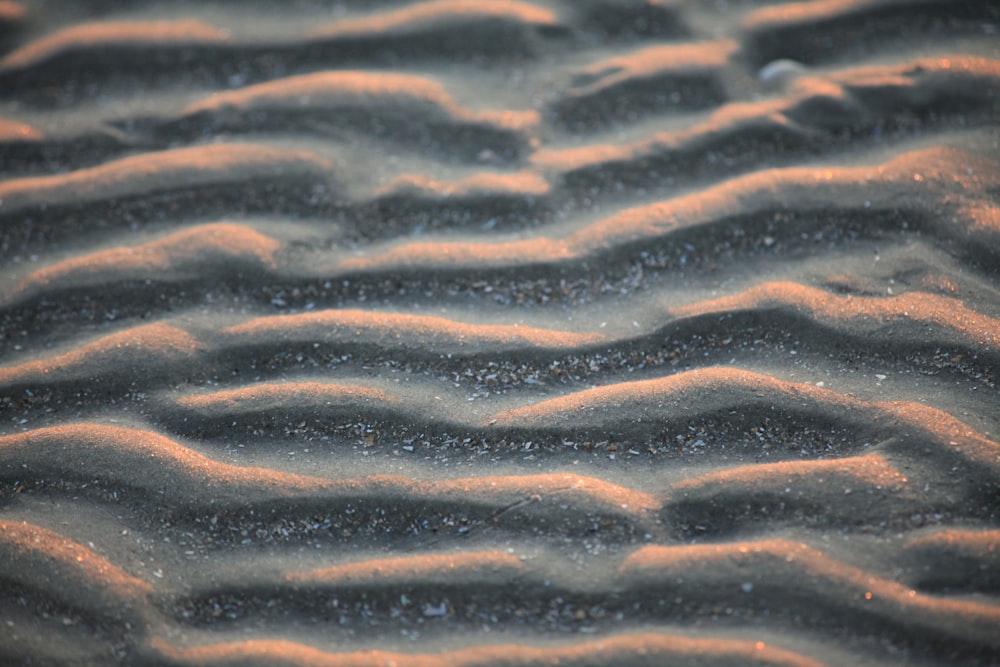 brown sand with water during daytime