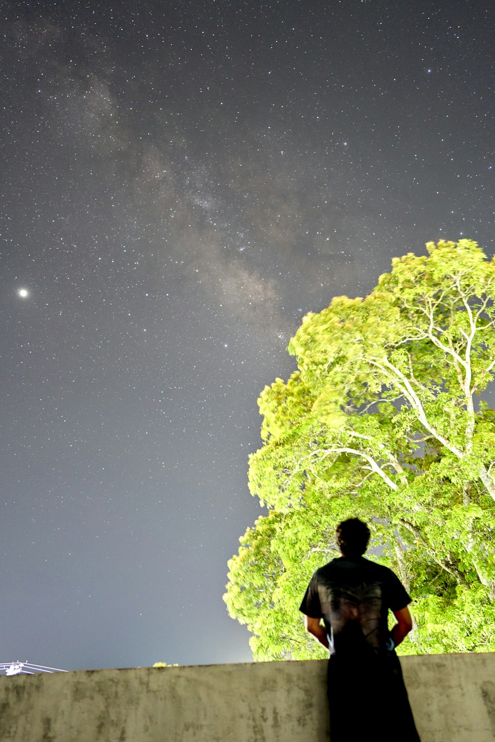 별이 빛나는 밤 아래 녹색 나무 근처에 서 있는 검은 재킷을 입은 남자