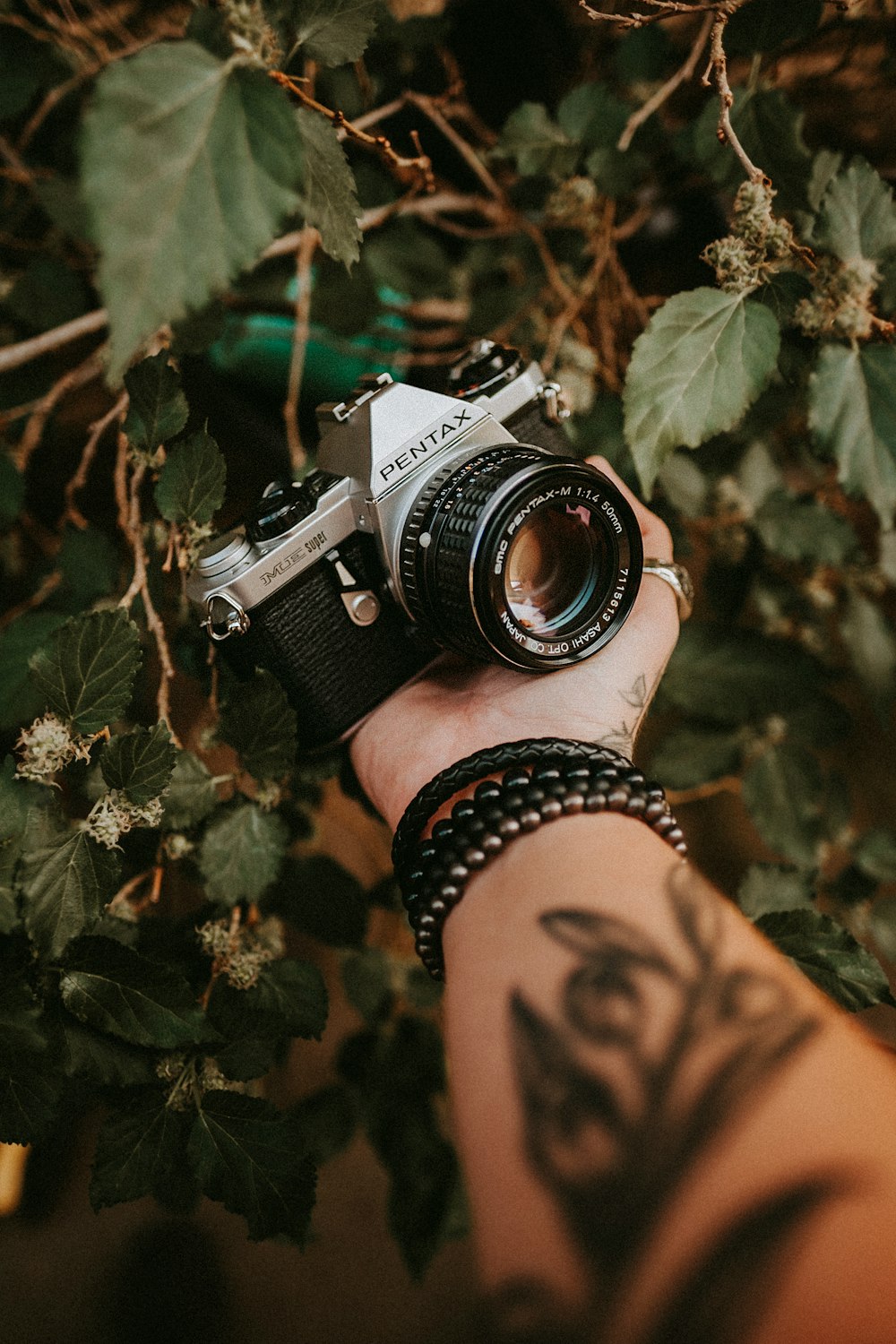 Fotocamera DSLR nera e argento su foglie verdi