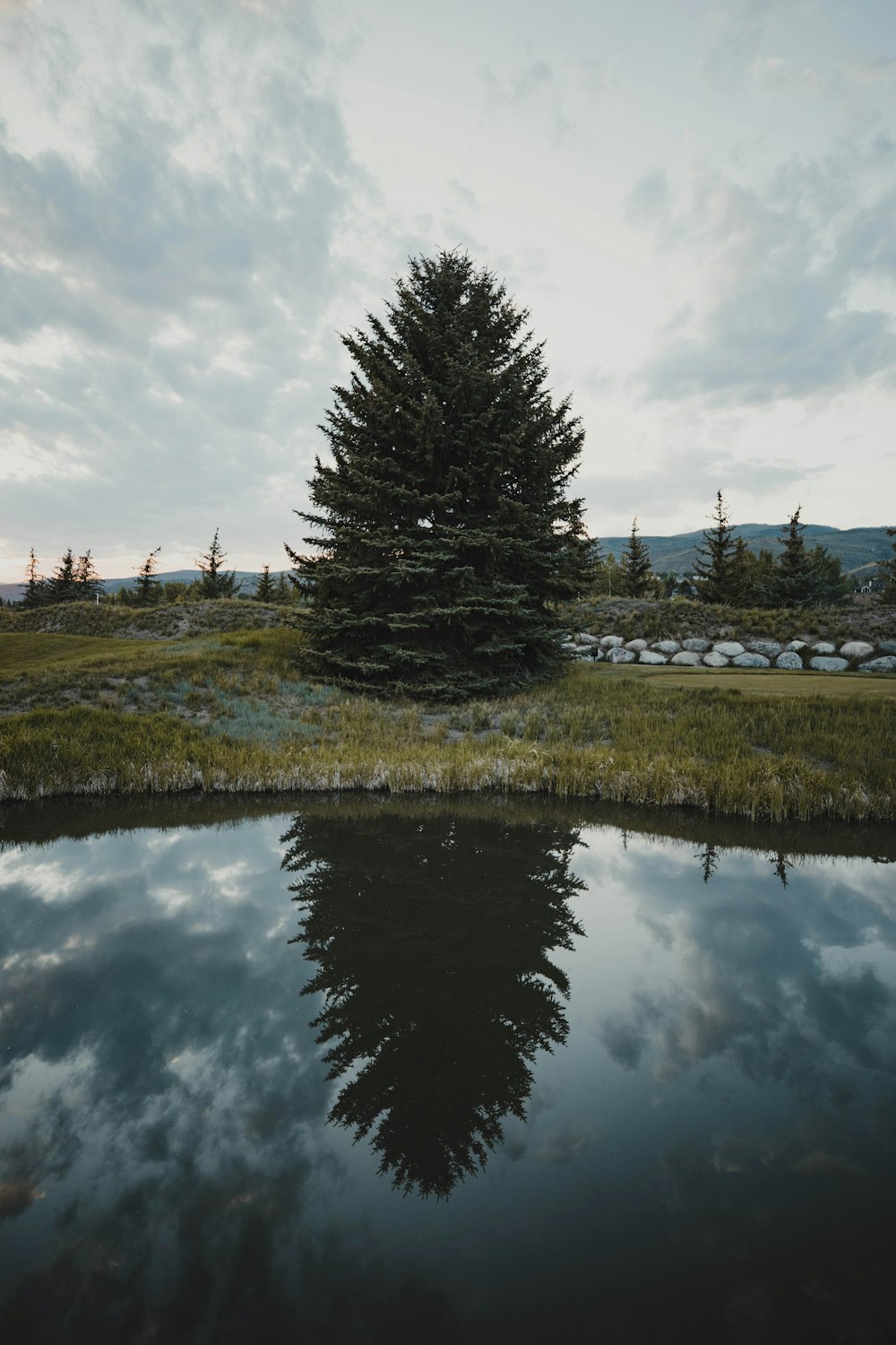 green trees beside river under cloudy sky during daytime