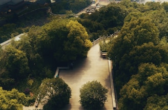 Aerial view of a park pathway lined with natural stone pavers and green landscaping.