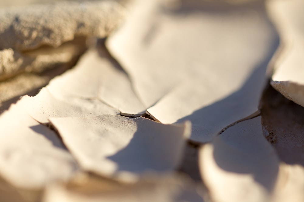 white snow on brown soil