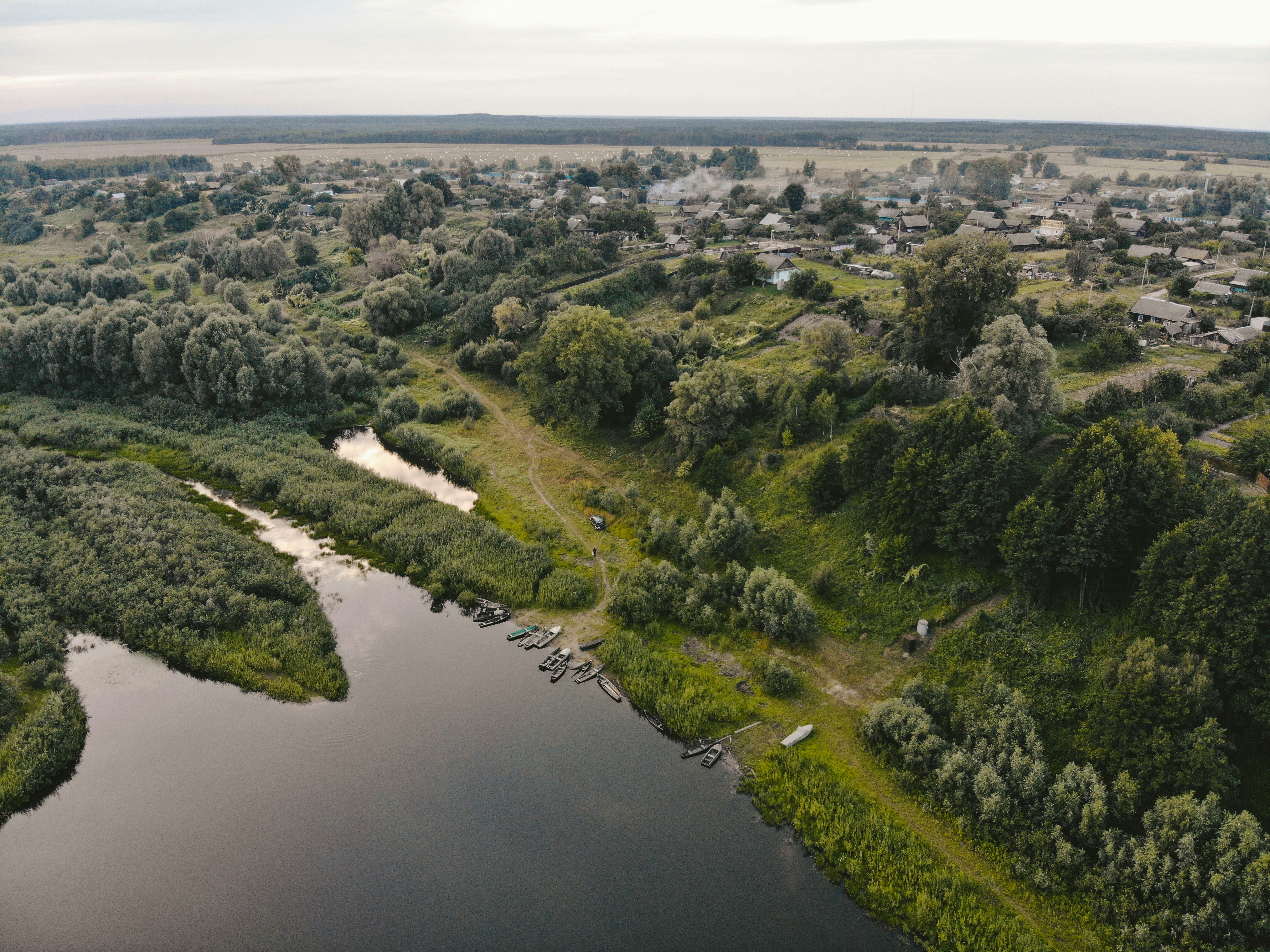 arbres verts près de la rivière pendant la journée