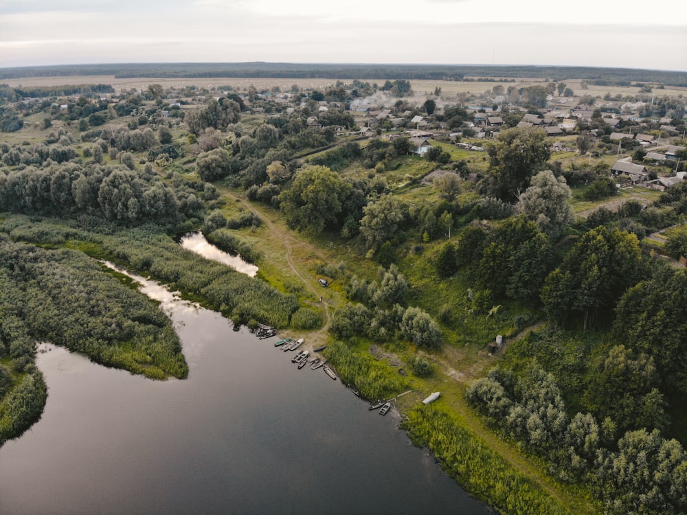 green trees near river during daytime