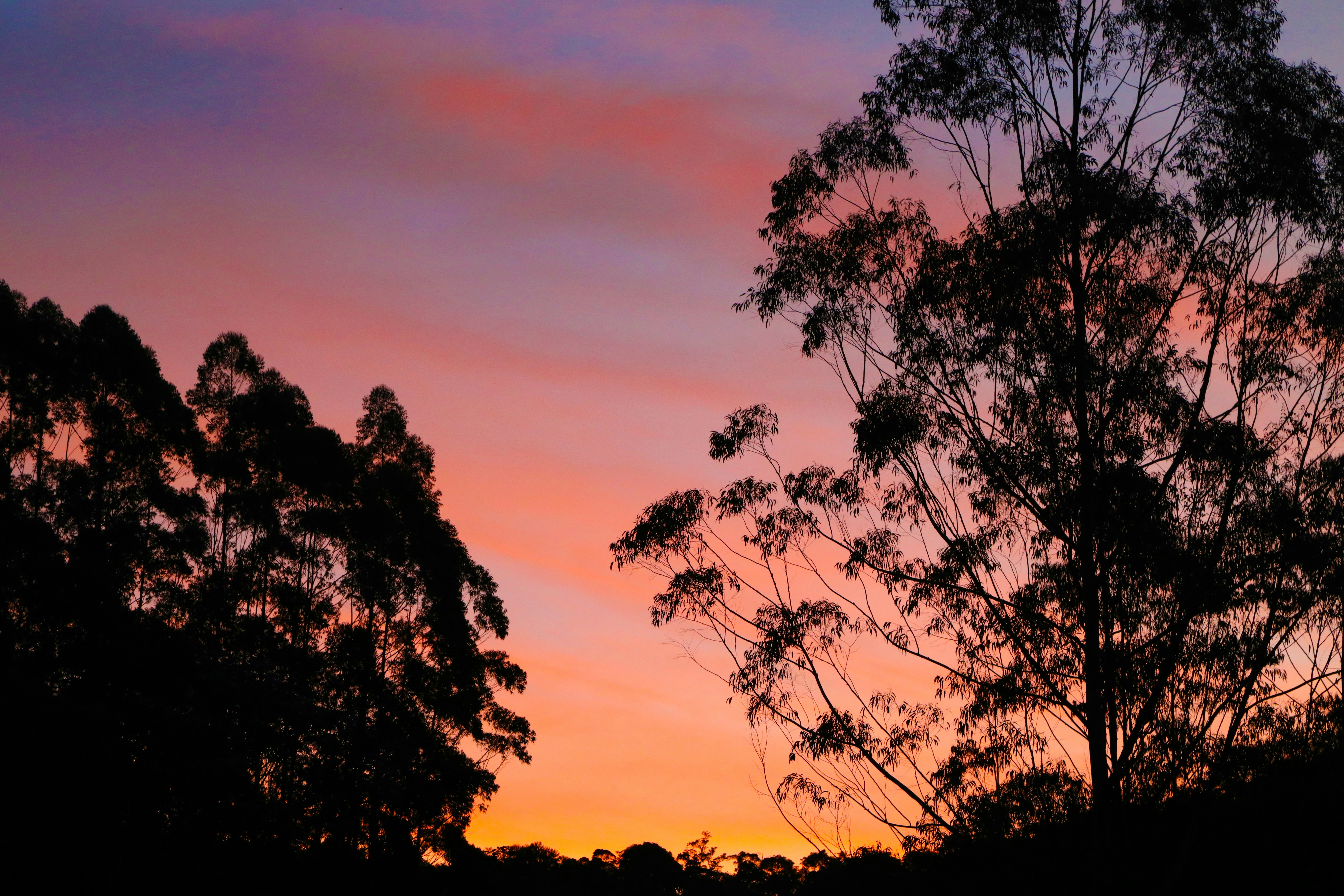 Photo by marcusdallcol