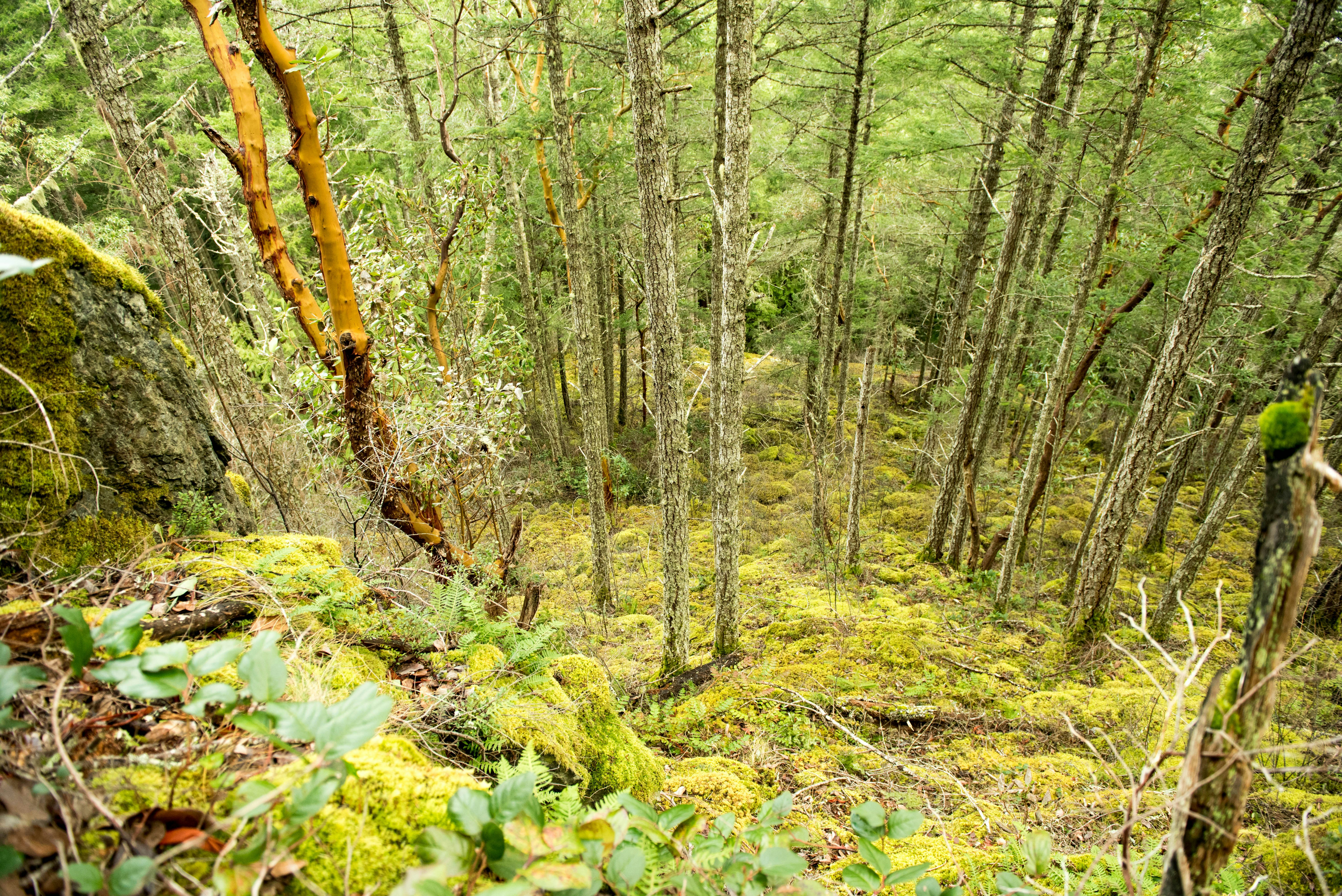 Photo by suzanne_ella