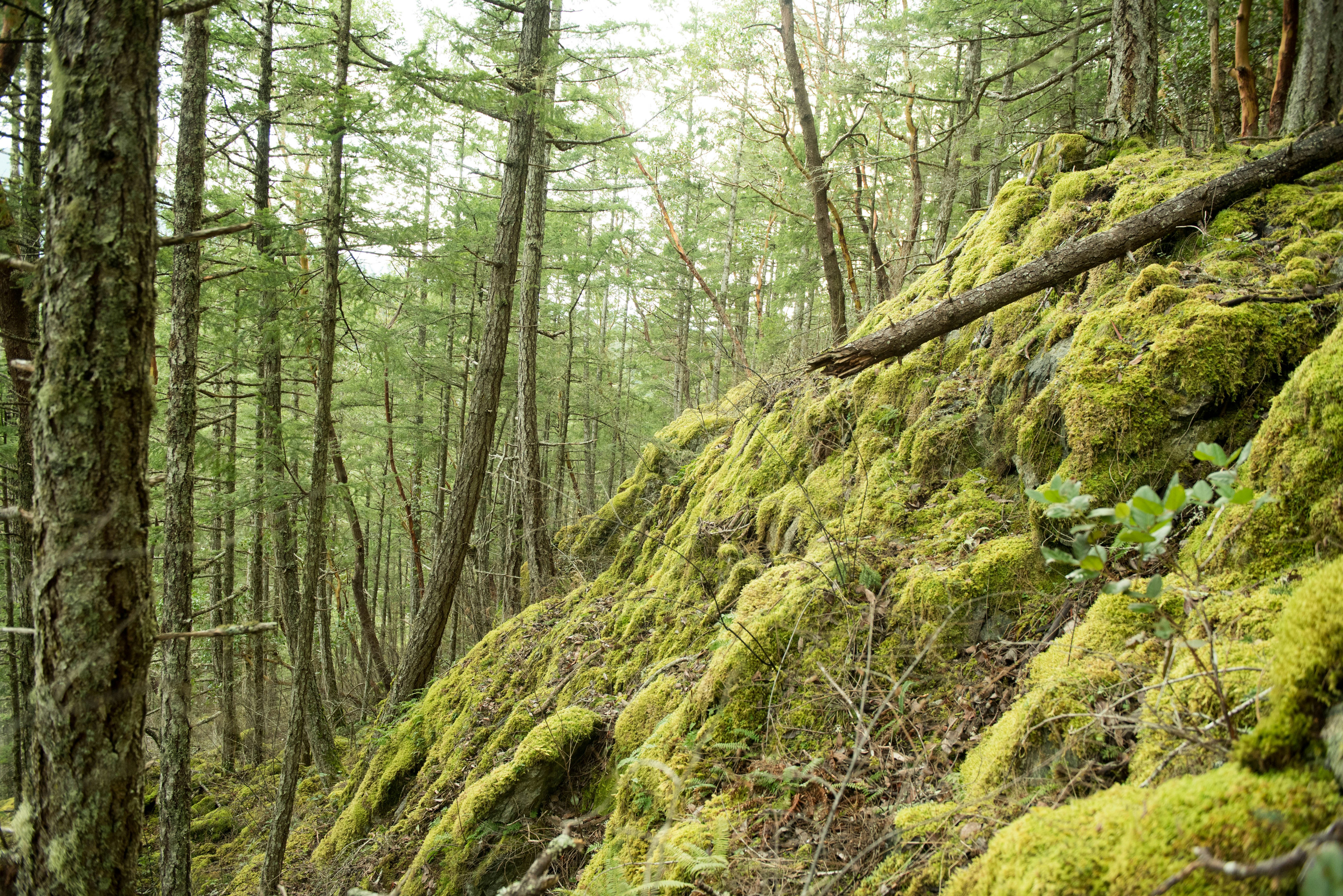 Photo by suzanne_ella