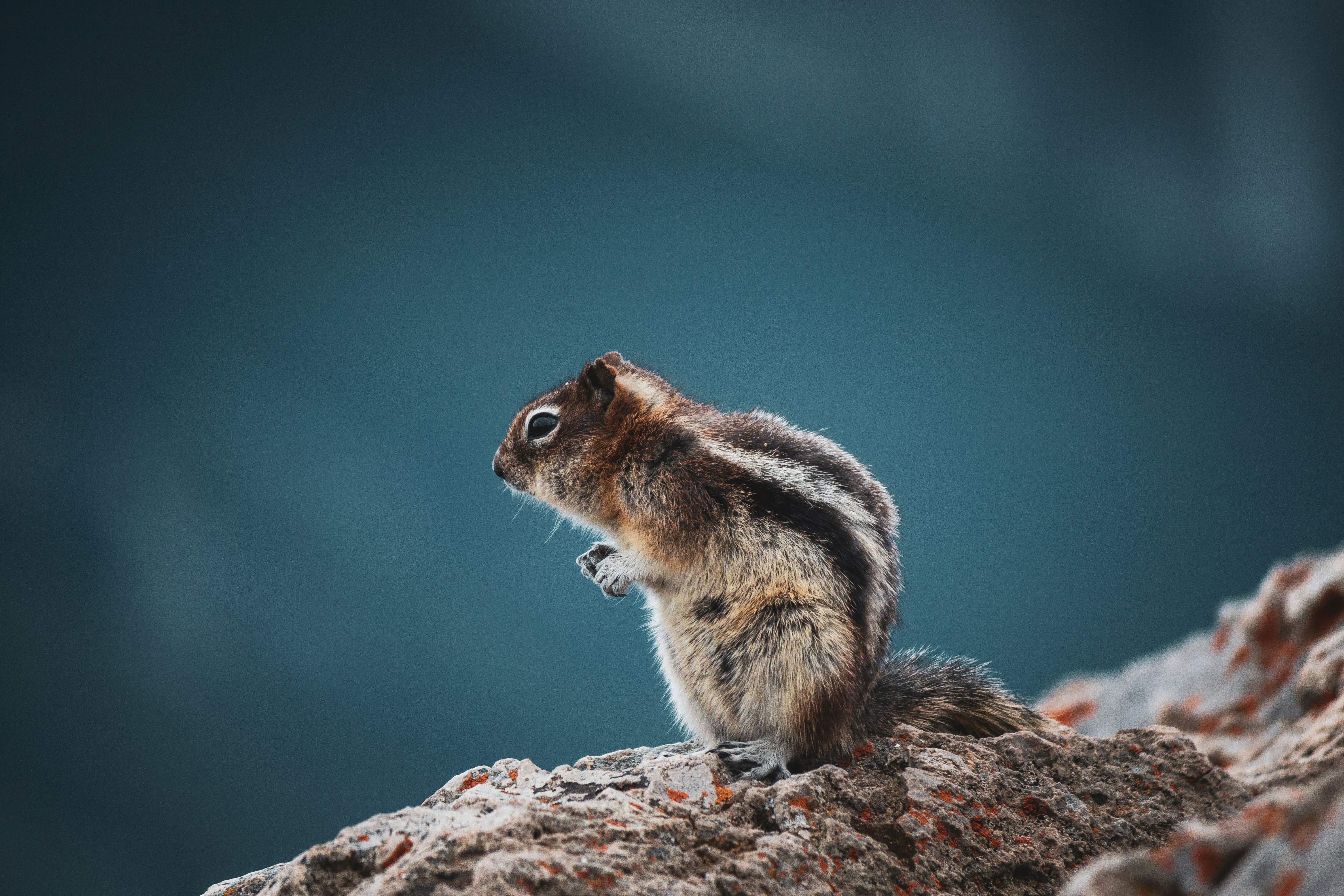 Photo by alexkurchev