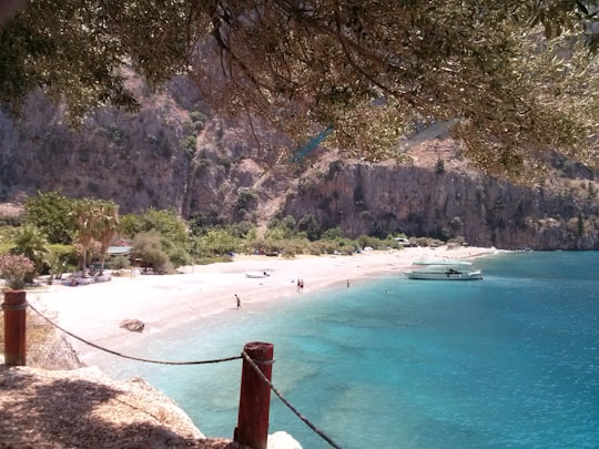 Butterfly Valley things to do in Fethiye