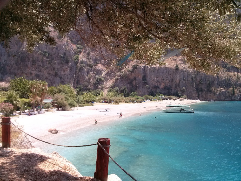 people on beach during daytime