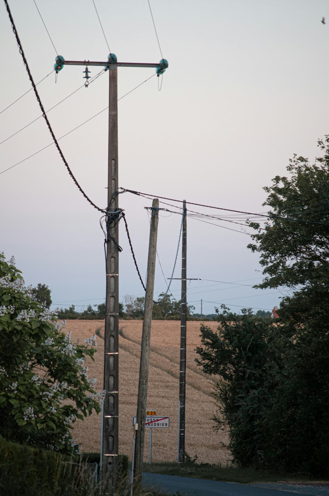 gray electric post near green trees under blue sky during daytime