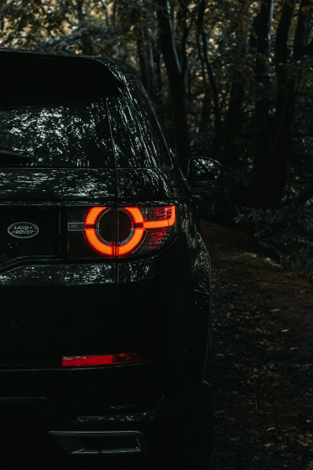 black bmw car in forest during daytime