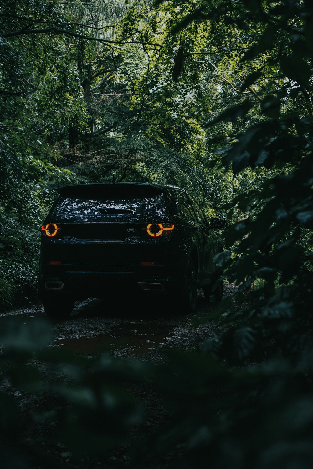 black suv in forest during daytime