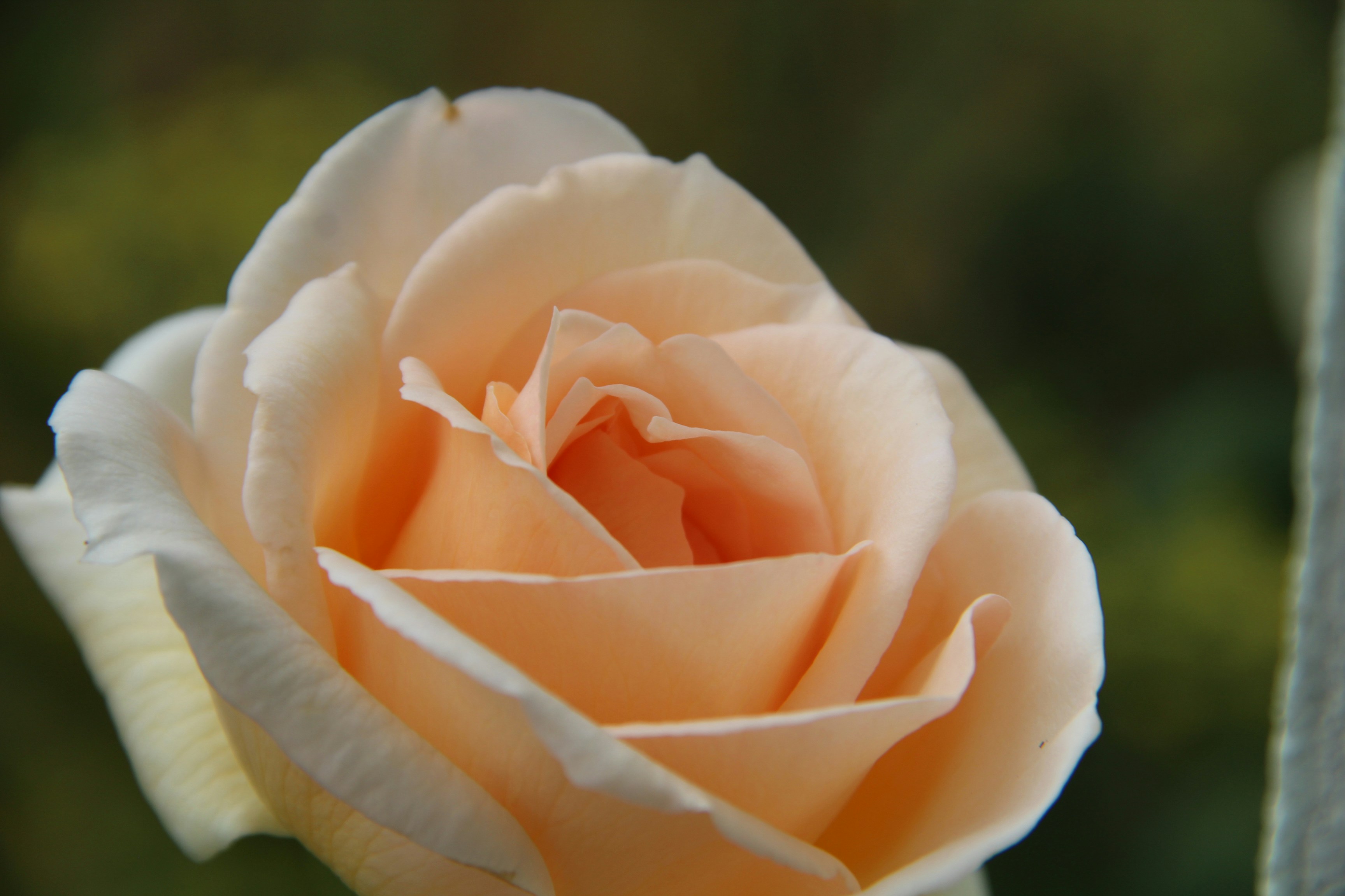 Photo by jm_unsplash