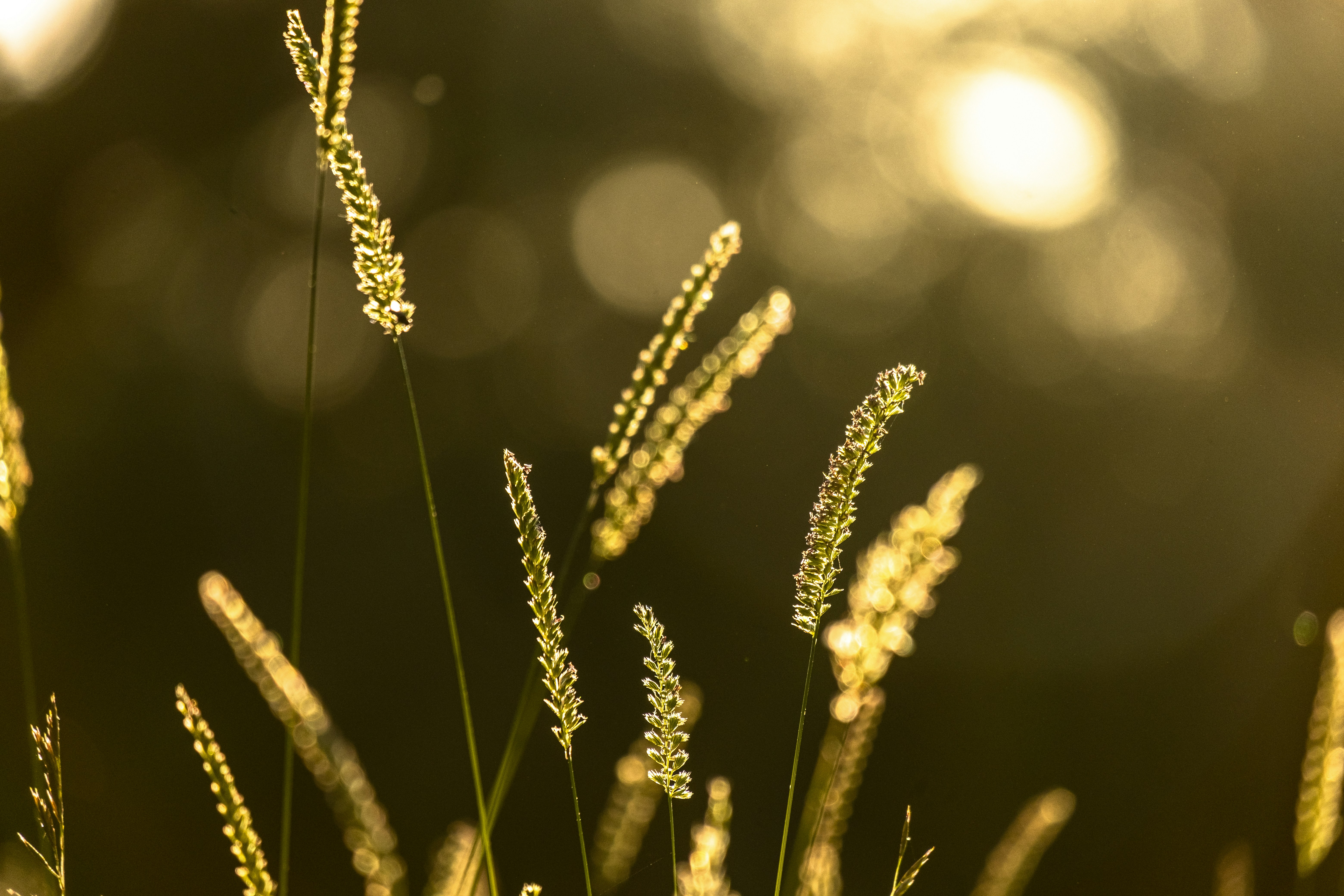 Photo by sandermathlener