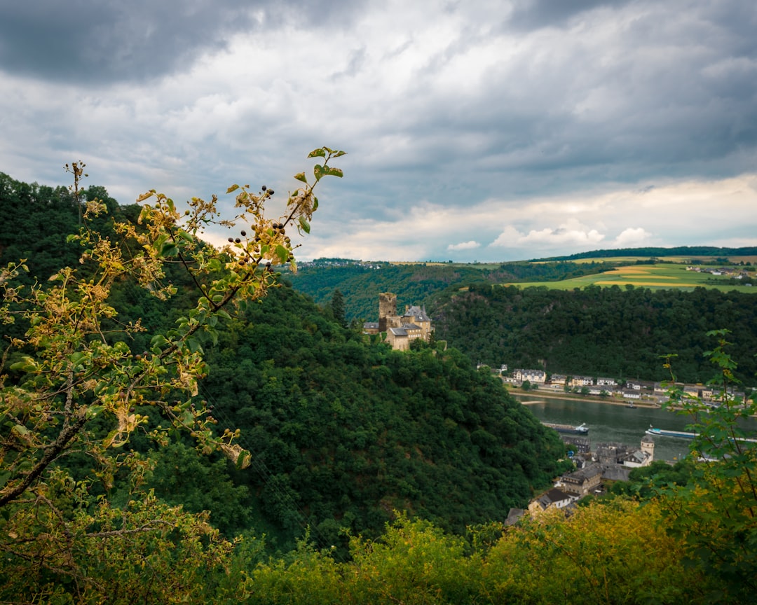 Hill station photo spot Loreley Eltz Castle