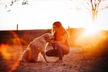 A dog and owner sharing a quiet moment outdoors, surrounded by soft natural light.