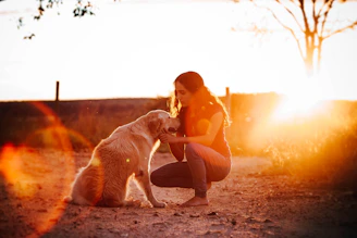 A warm scene of a dog trainer gently guiding a happy dog in a sunny park.