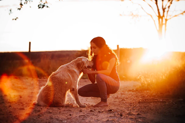 A serene moment capturing a person gently connecting with a calm dog in a sunlit garden.
