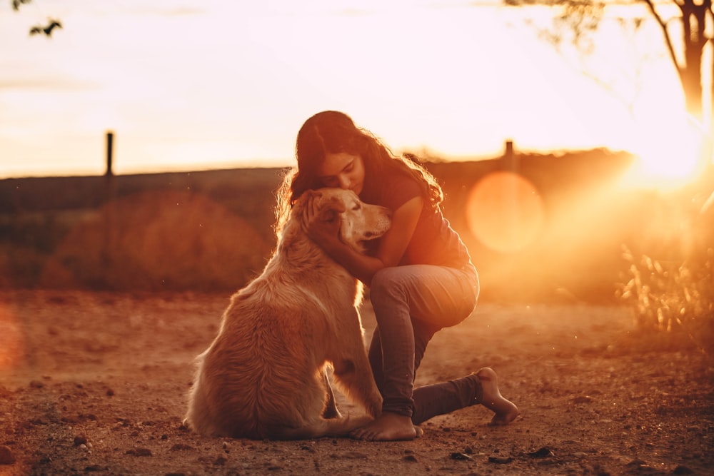 日没時に地面に座っているゴールデンレトリバーの子犬