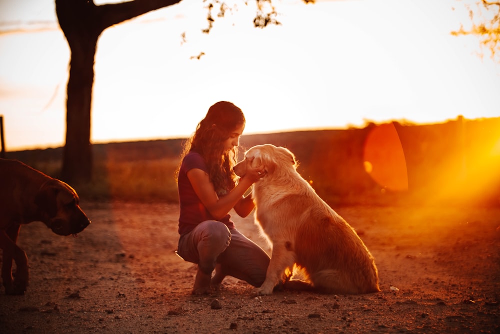 man in black and white stripe shirt sitting on brown sand beside brown dog during daytime