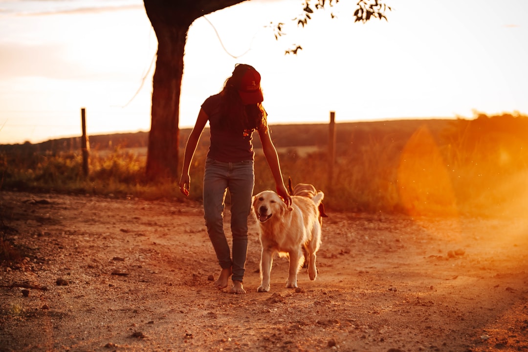 woman in black shirt and white short holding yellow labrador retriever