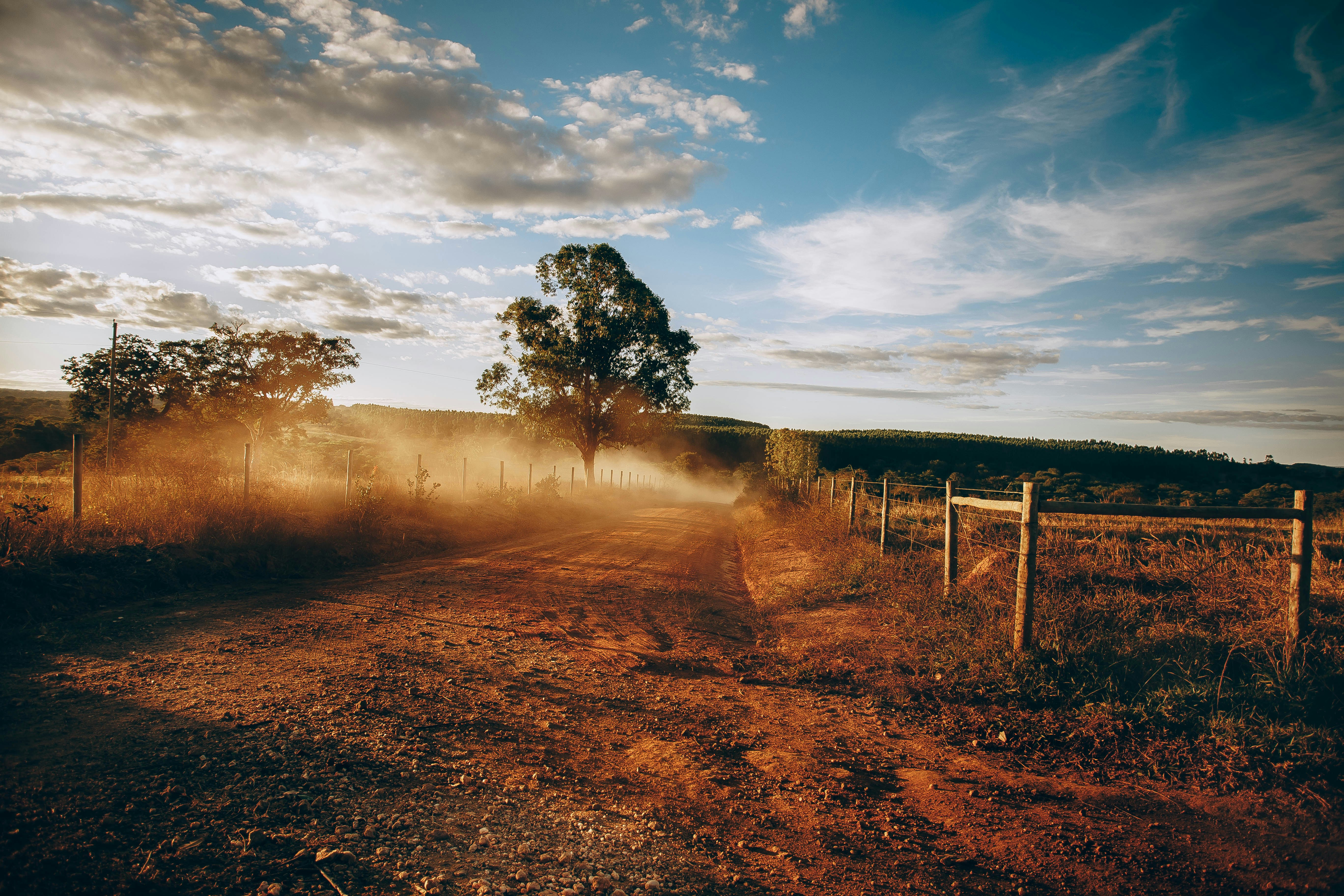 Photo by helenalopesph