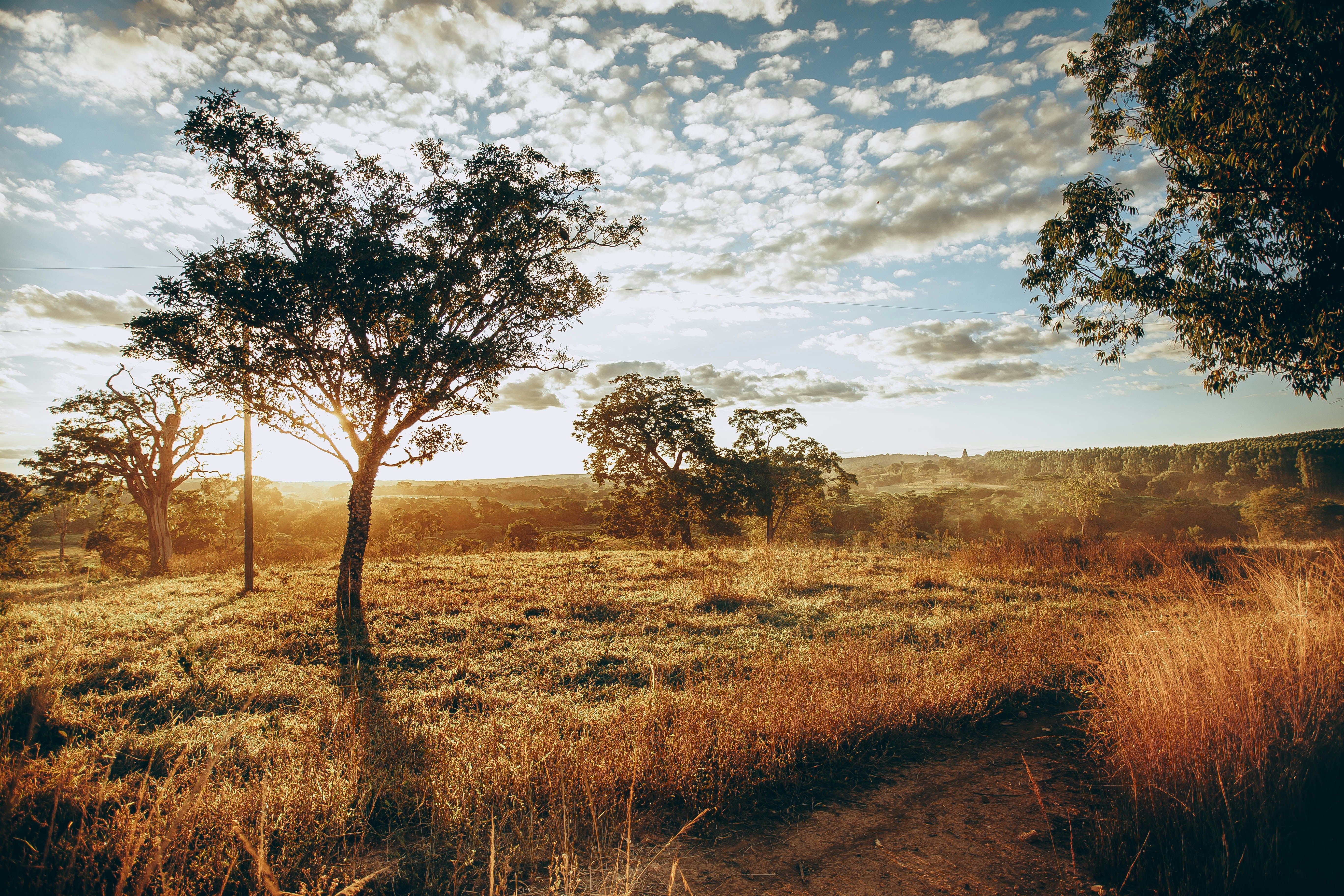 Photo by helenalopesph