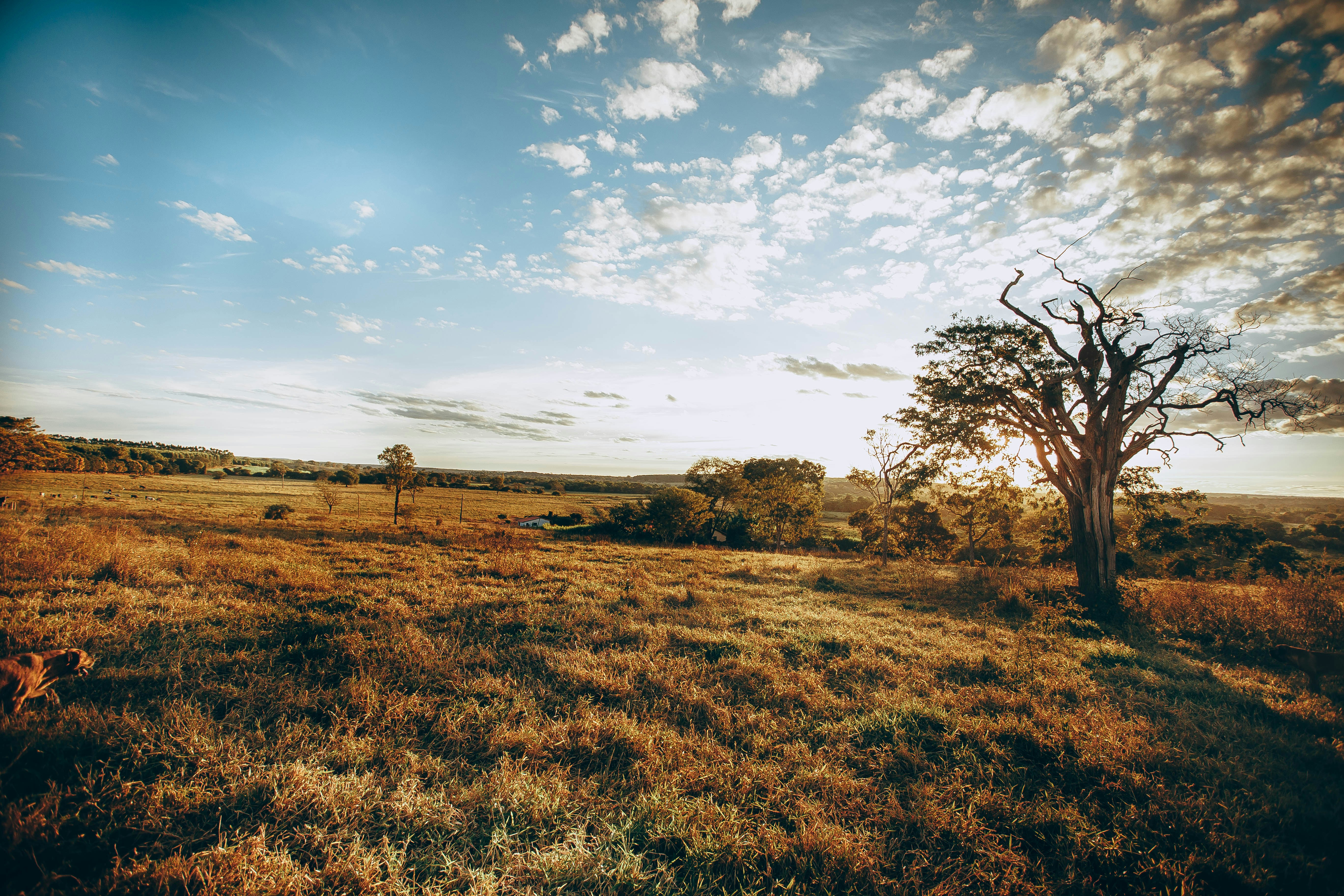 Photo by helenalopesph