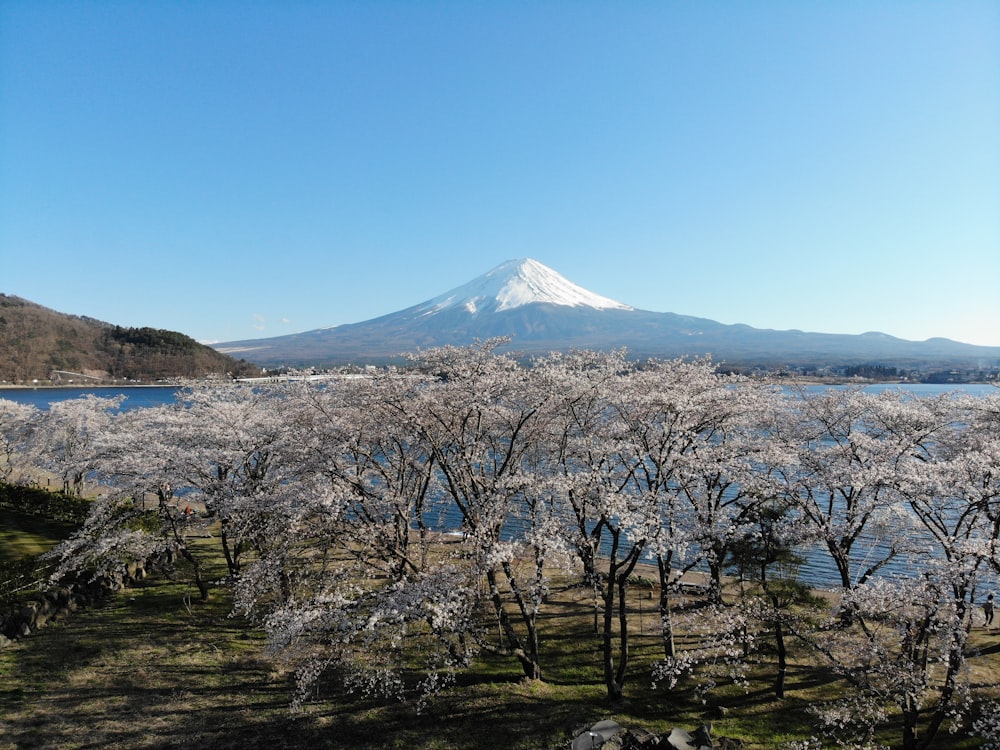 snow covered mountain under blue sky during daytime