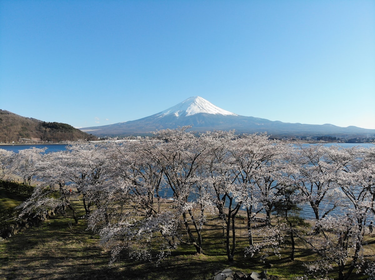 Osaka & Kyoto 7-Day Journey