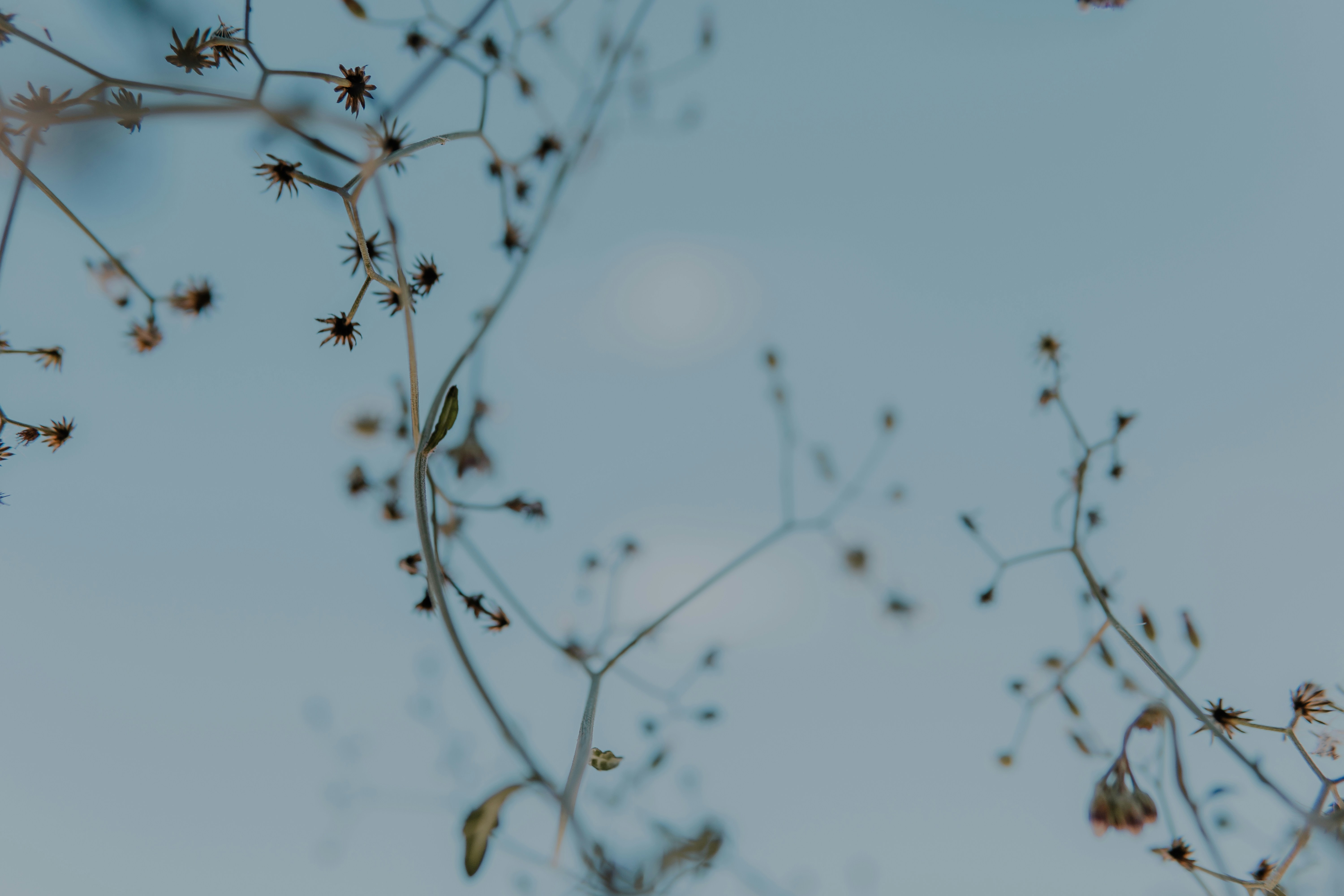 Photo by lucassilvapinh