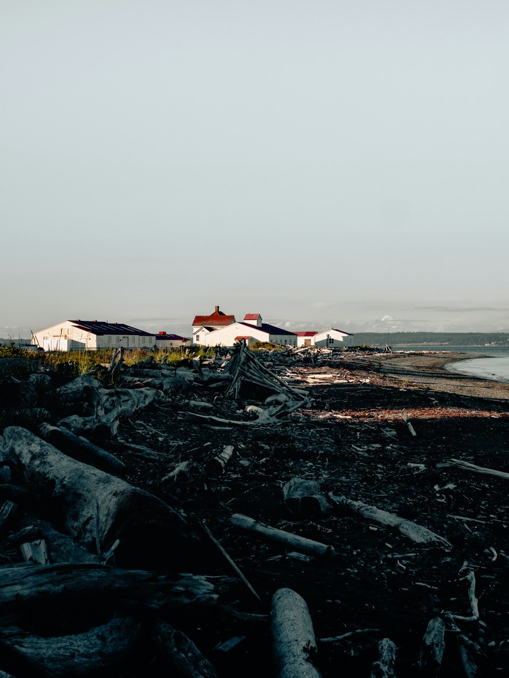 houses near sea during daytime