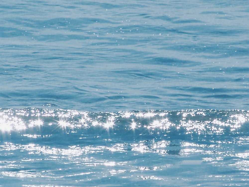 blue body of water during daytime