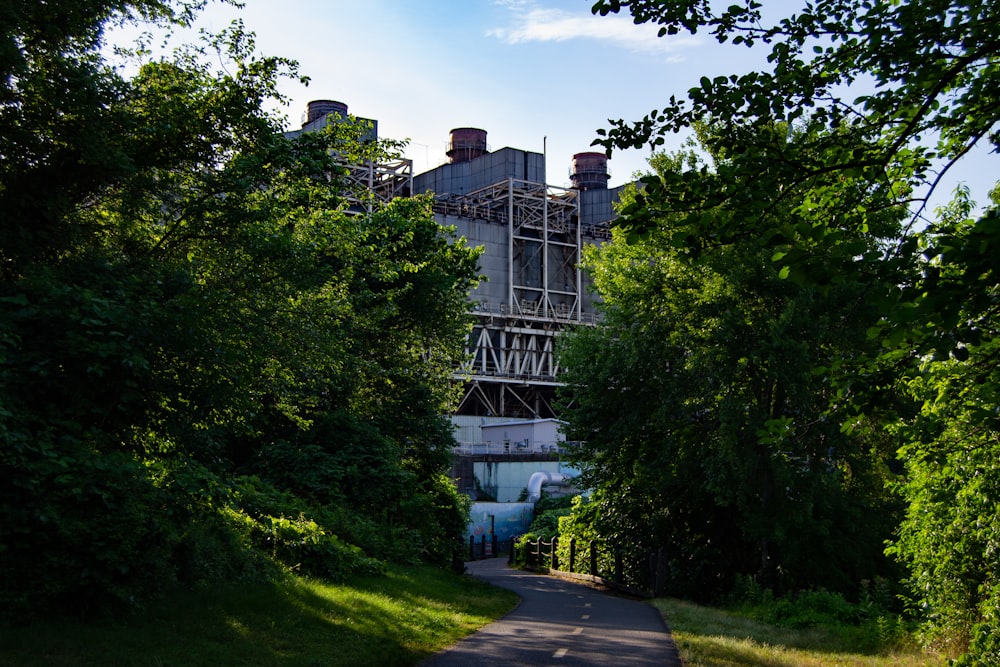 green trees near gray concrete building during daytime