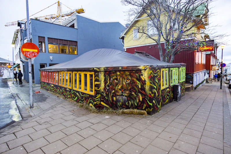 Best Gluten-Free Restaurants and Cafes in Reykjavik