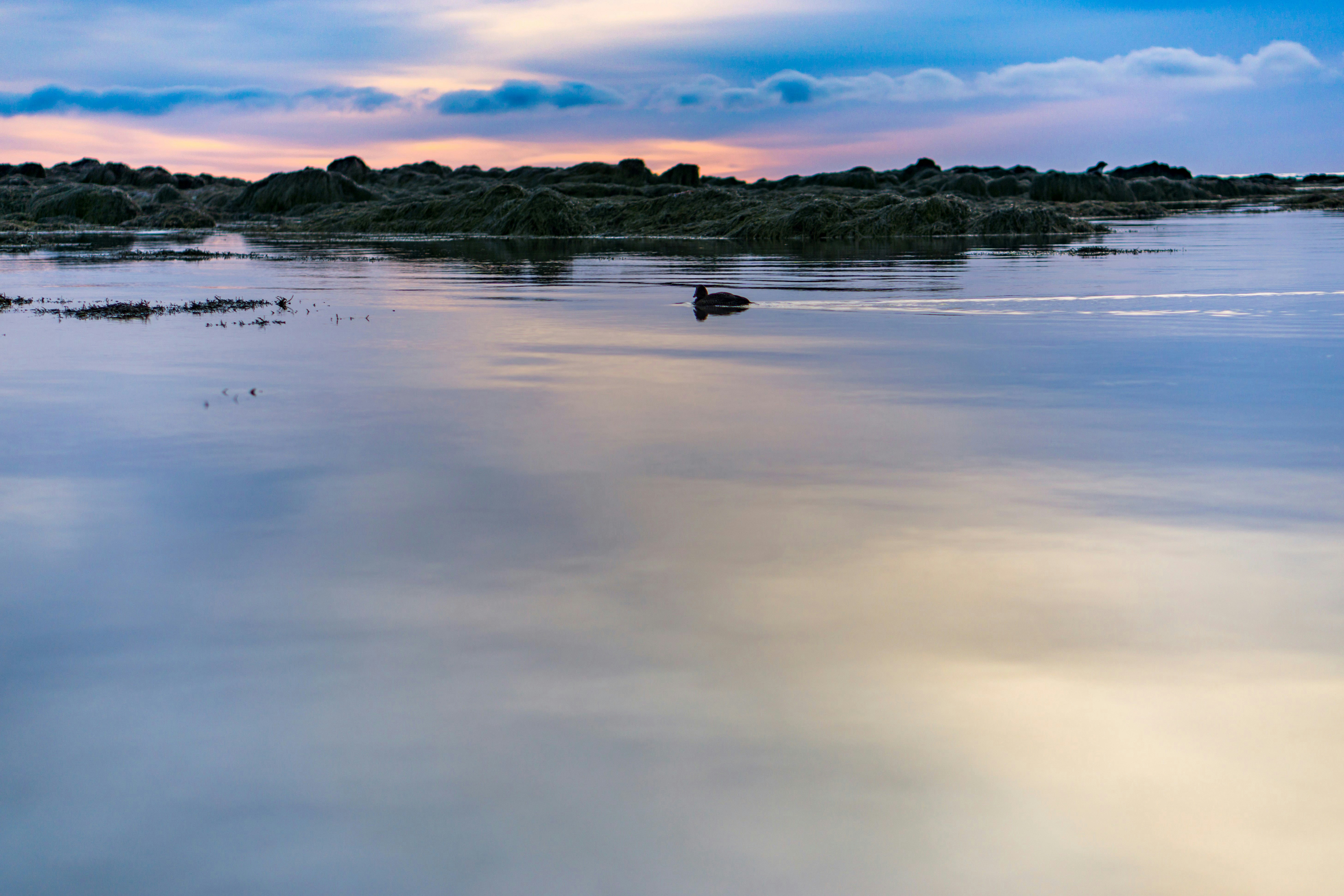 Photo by dapperprofessional