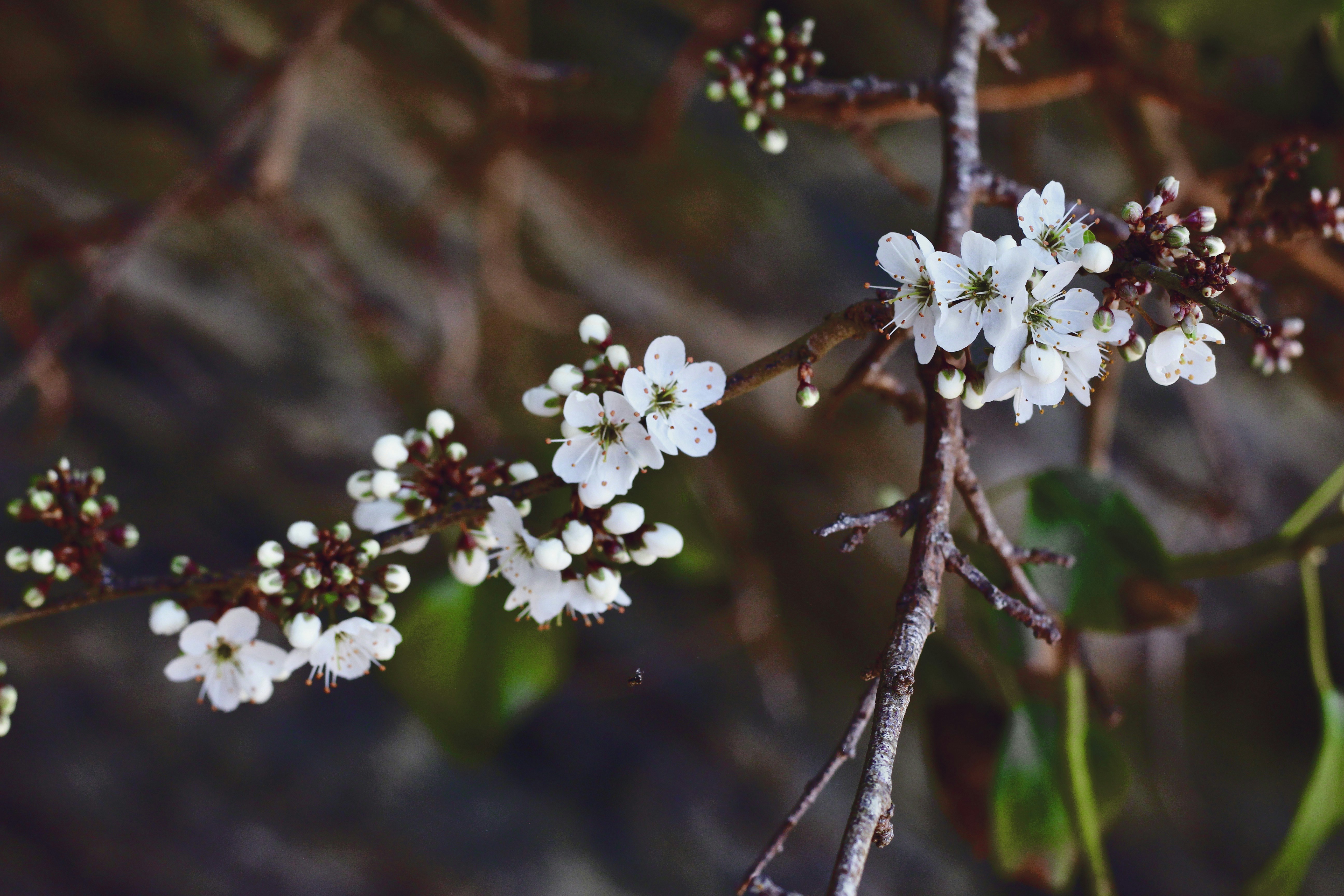 Photo by breslercreative