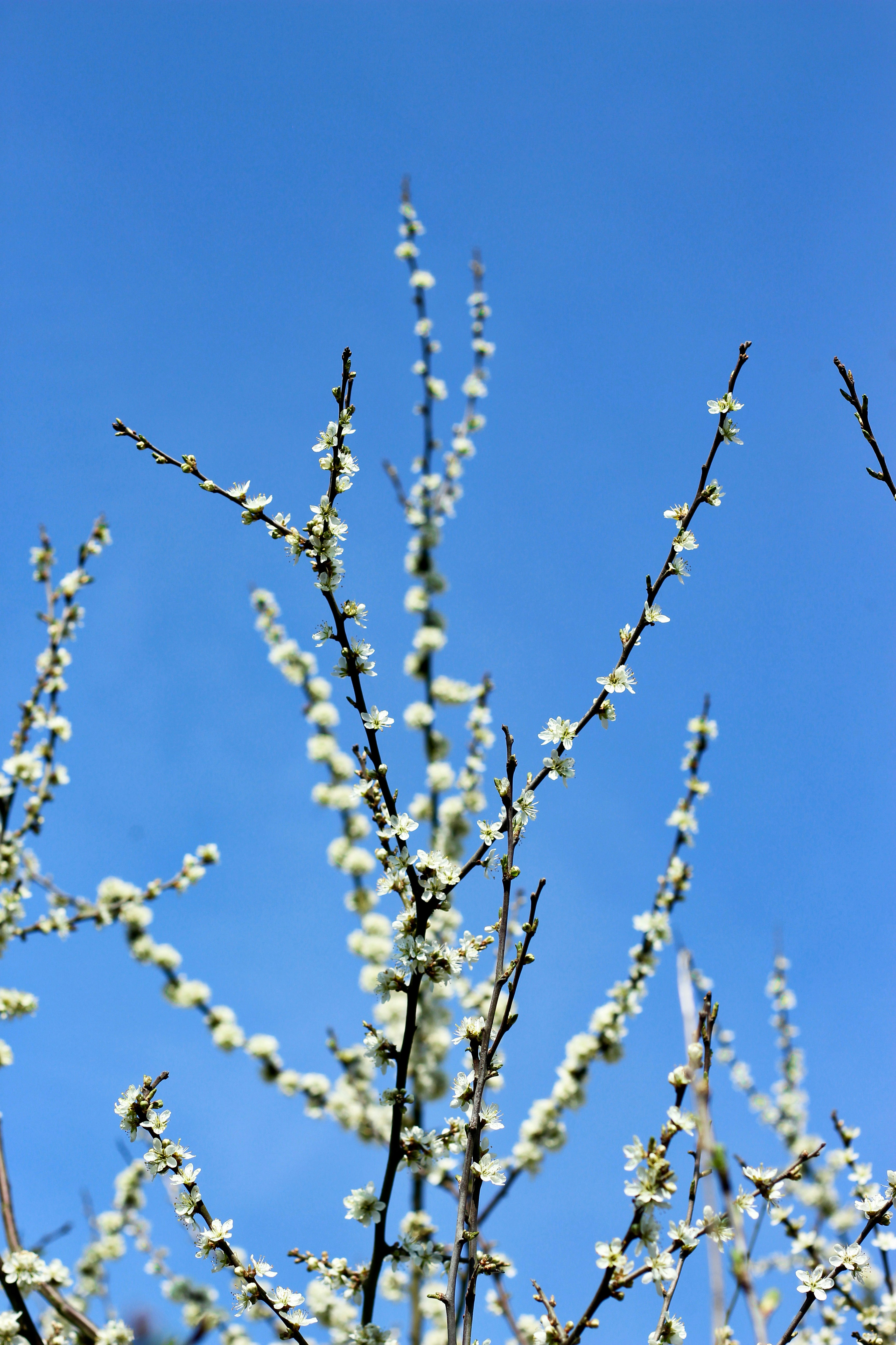 Photo by breslercreative