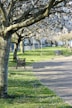 black metal bench on green grass field near trees during daytime