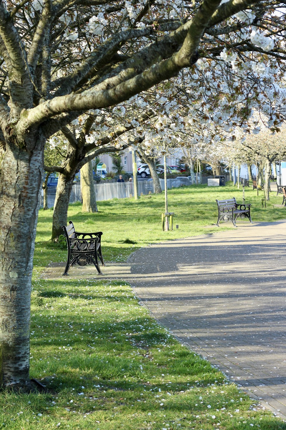 black metal bench on green grass field near trees during daytime