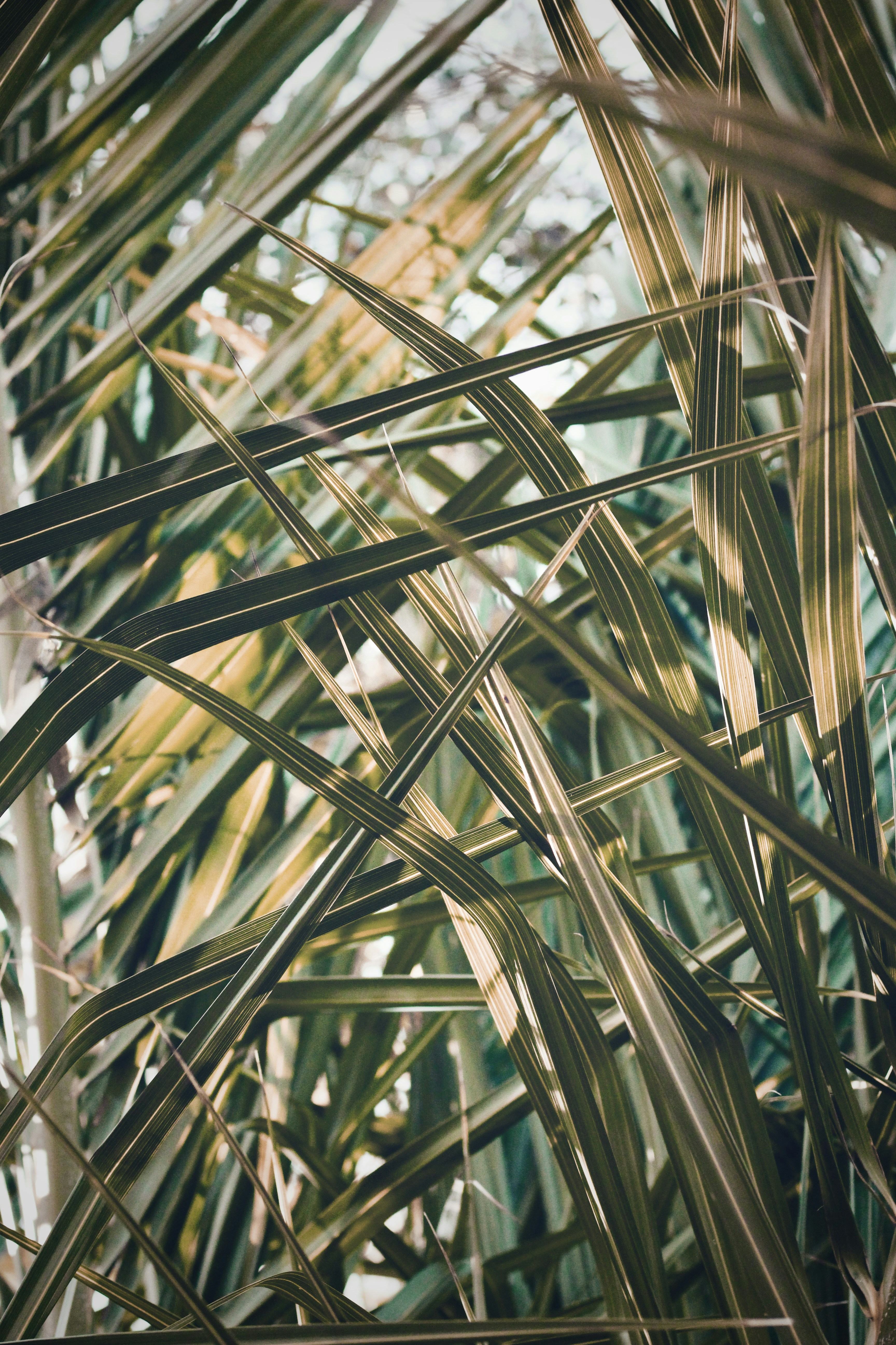 Photo by breslercreative