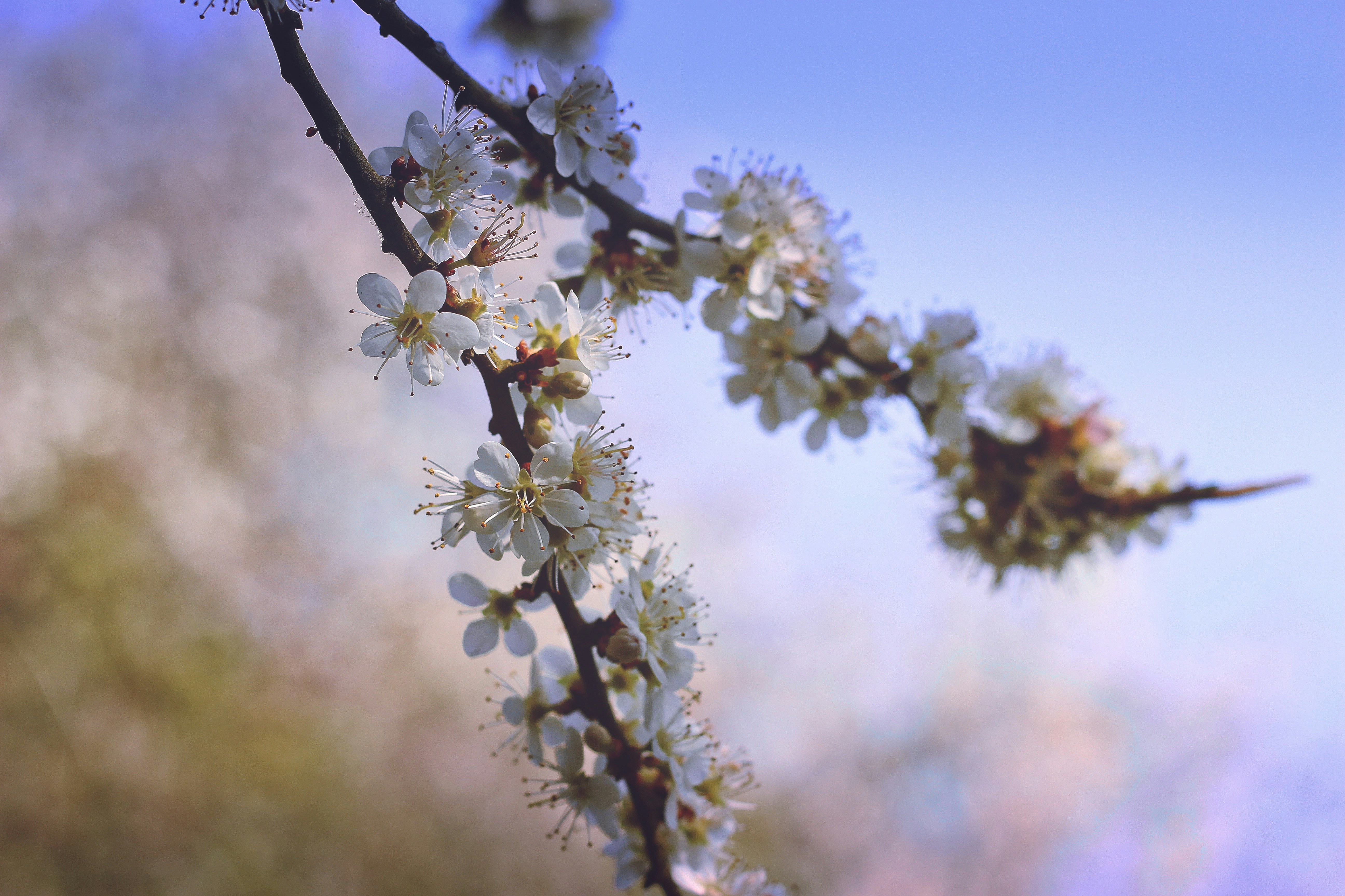 Photo by breslercreative