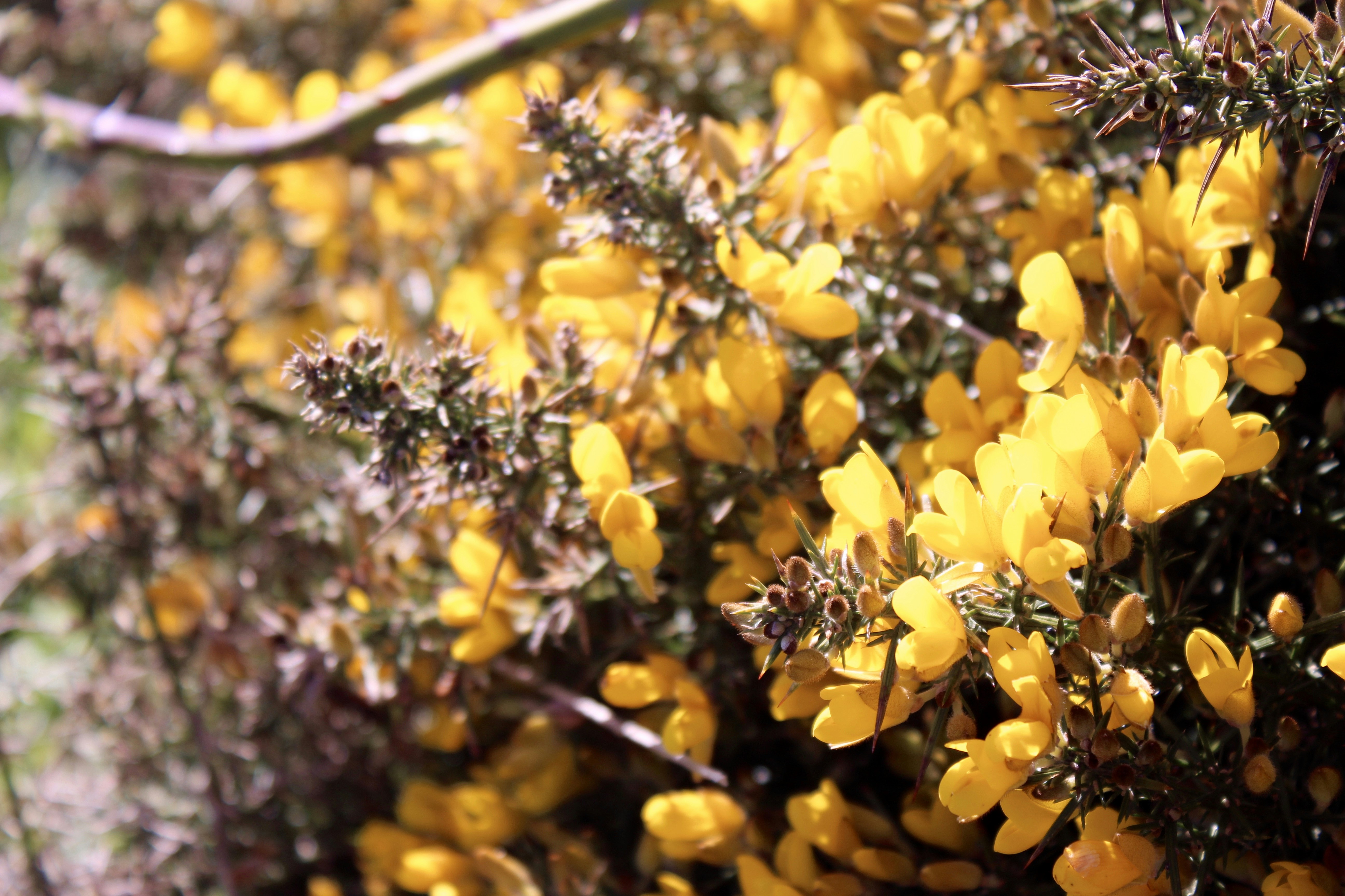 Photo by breslercreative